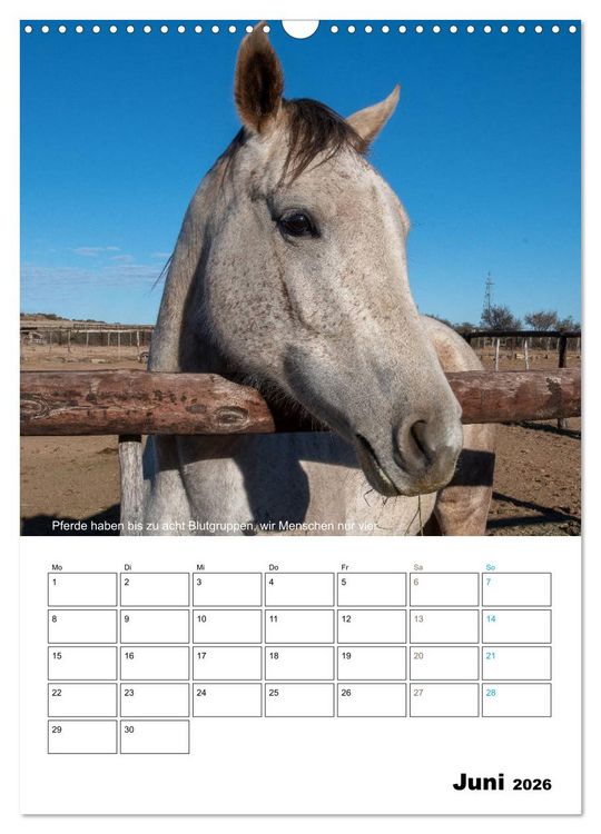 Produktbild: Liebenswerte Landtiere (Wandkalender 2026 DIN A3 hoch), CALVENDO Monatskalender