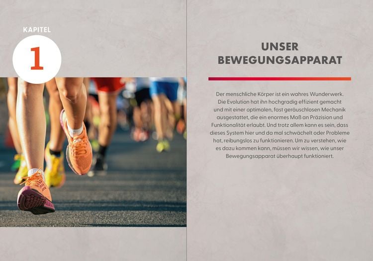 Produktbild: Die Faszienl&uuml;ge