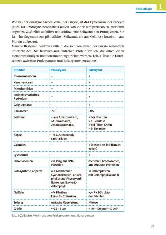 Produktbild: Klett Sicher im Abi Biologie