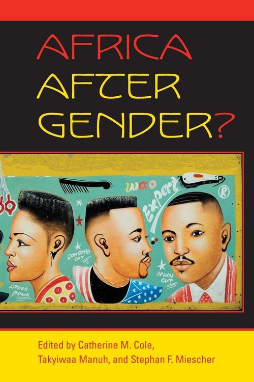 Produktbild: Africa After Gender?