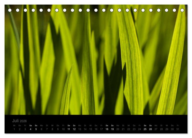 Produktbild: Natur im Detail (Tischkalender 2026 DIN A5 quer), CALVENDO Monatskalender