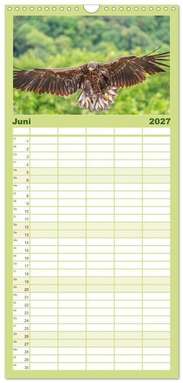 Produktbild: Familienplaner 2027 - Greifv&ouml;gel in Aktion - Dynamische Flugbilder und Portr&auml;ts mit 5 Spalten (Wandkalender, 21 x 45 cm) CALVENDO