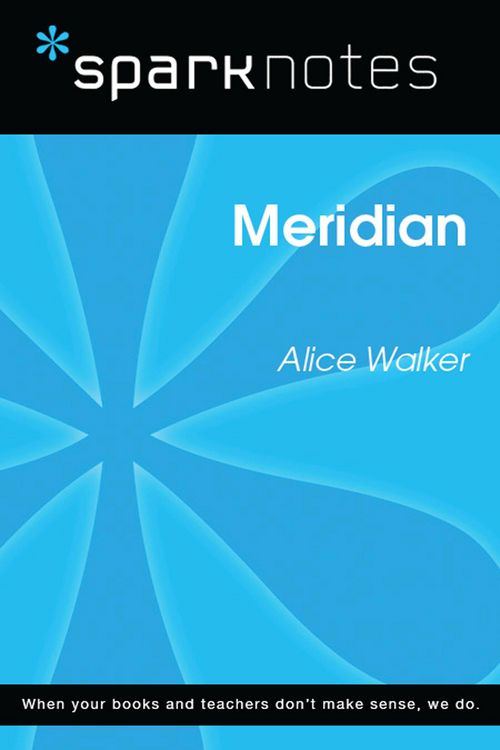 Produktbild: Meridian (SparkNotes Literature Guide)