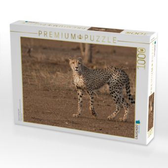 Produktbild: CALVENDO Puzzle Gepard, S&uuml;dafrika 2017 | 1000 Teile Lege-Gr&ouml;&szlig;e 64x48cm Foto-Puzzle f&uuml;r gl&uuml;ckliche Stunden
