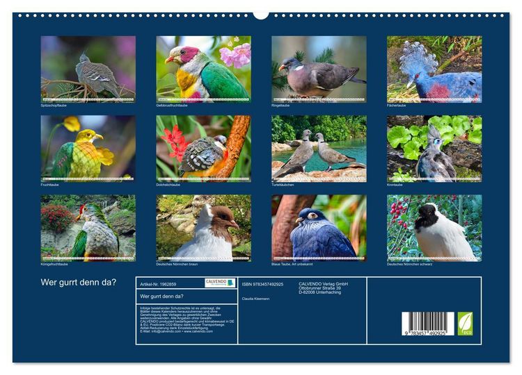 Produktbild: Wer gurrt denn da? (hochwertiger Premium Wandkalender 2026 DIN A2 quer), Kunstdruck in Hochglanz