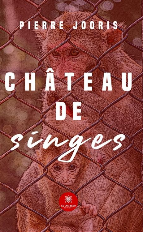 Produktbild: Ch&acirc;teau de singes