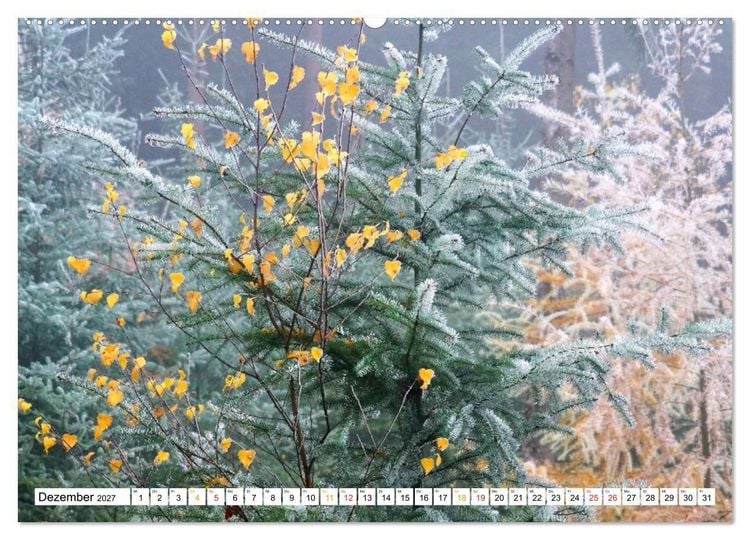 Produktbild: 12 Monate Natur (Wandkalender 2027 DIN A2 quer), CALVENDO Monatskalender