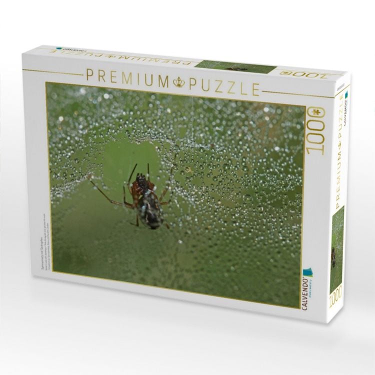 Produktbild: CALVENDO Puzzle Spinnennetz mit Tautropfen | 1000 Teile Lege-Gr&ouml;&szlig;e 64x48cm Foto-Puzzle f&uuml;r gl&uuml;ckliche Stunden
