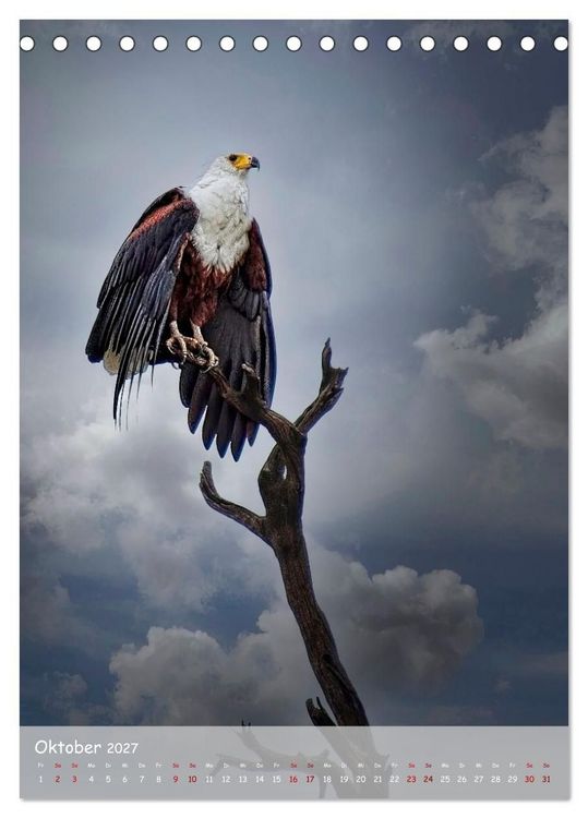 Produktbild: Adler in Afrika (Tischkalender 2027 DIN A5 hoch), CALVENDO Monatskalender