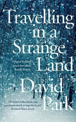 Produktbild: Park, D: Travelling in a Strange Land