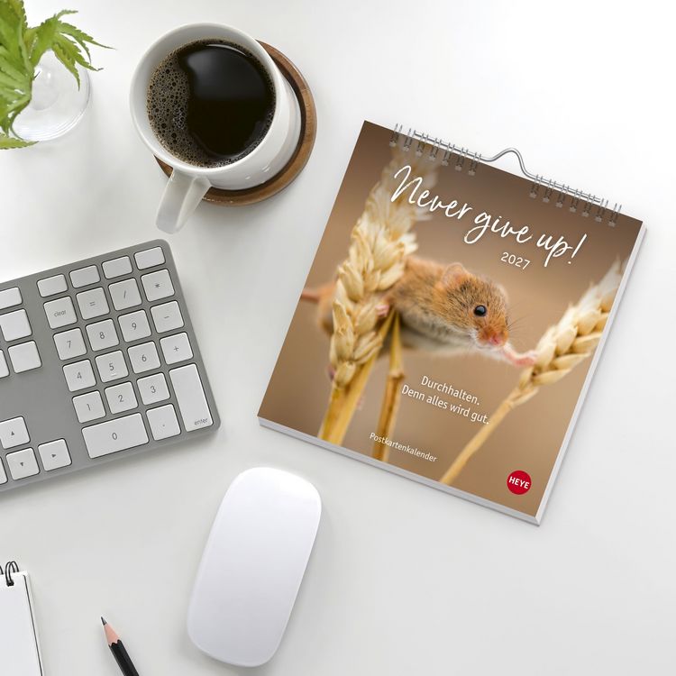 Produktbild: Never give up! Postkartenkalender 2027 - Durchhalten. Denn alles wird gut.