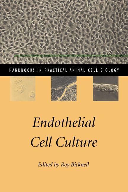 Produktbild: Endothelial Cell Culture