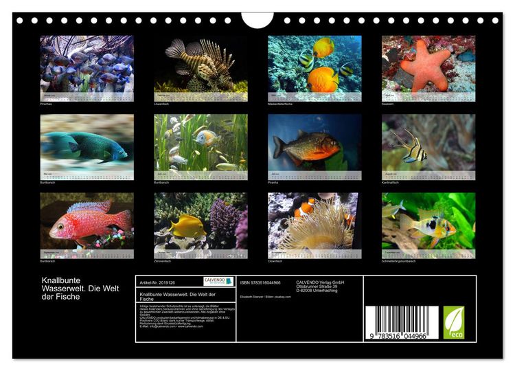 Produktbild: Knallbunte Wasserwelt. Die Welt der Fische (Wandkalender 2026 DIN A4 quer), CALVENDO Monatskalender