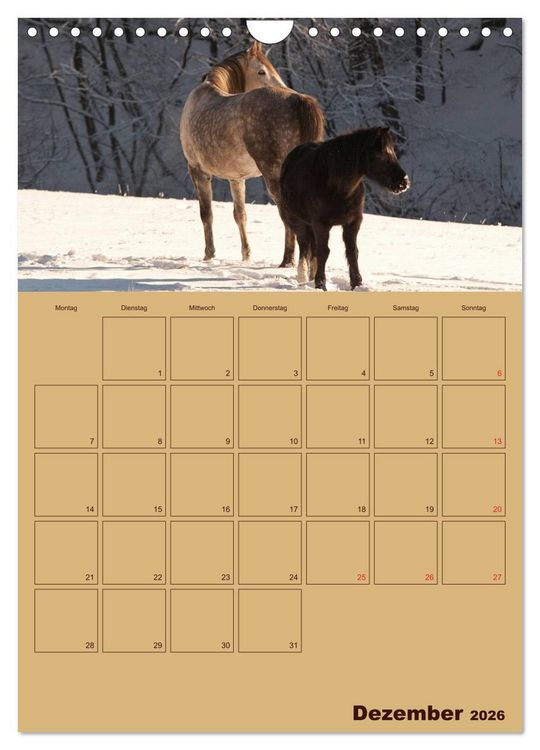 Produktbild: Pferde Gute Freunde (Wandkalender 2026 DIN A4 hoch), CALVENDO Monatskalender