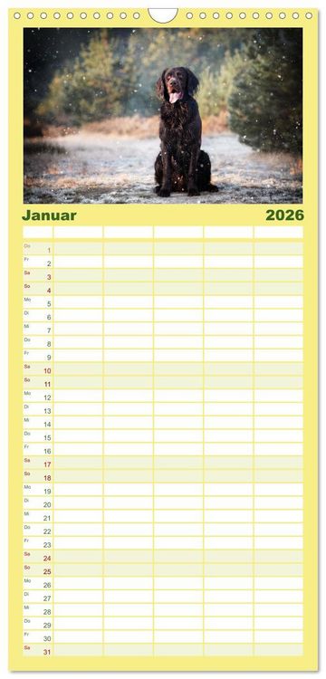 Produktbild: Familienplaner 2026 - Passion Jagdhund - Deutsch Langhaar mit 5 Spalten (Wandkalender, 21 x 45 cm) CALVENDO