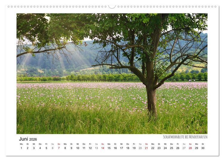 Produktbild: Zauberhaftes Witzenhausen (Wandkalender 2026 DIN A2 quer), CALVENDO Monatskalender