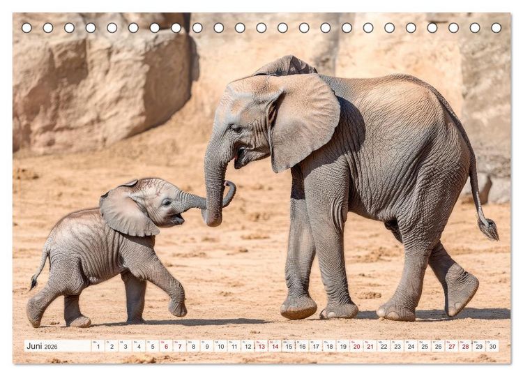 Produktbild: M&uuml;tterherzen im wilden Tierreich (Tischkalender 2026 DIN A5 quer), CALVENDO Monatskalender