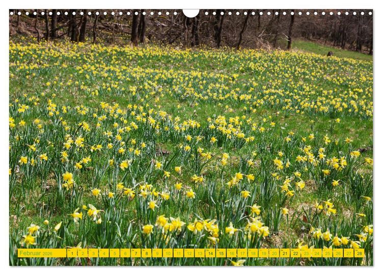 Produktbild: Eifel Sehnsucht (Wandkalender 2026 DIN A3 quer), CALVENDO Monatskalender