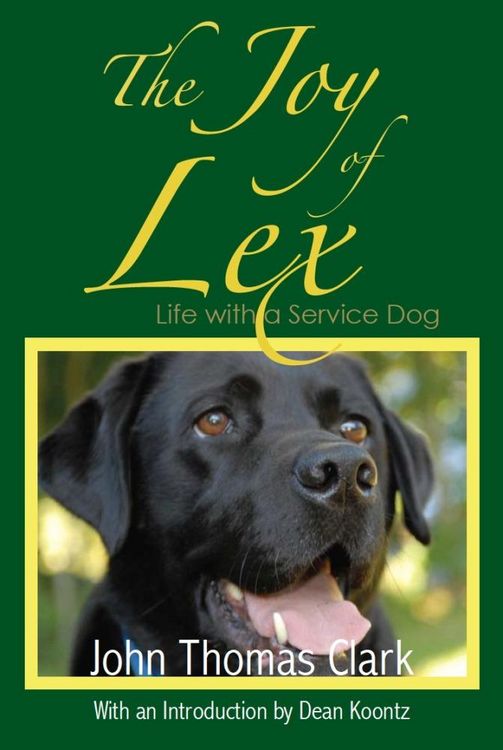 Produktbild: The Joy of Lex: