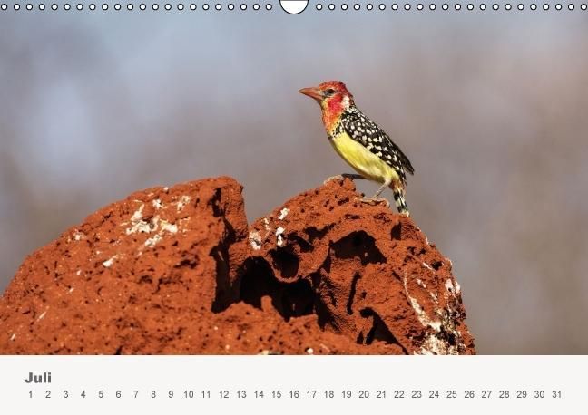 Produktbild: Faszination Ostafrika - Tierwelt und Natur aus Kenia und Tansania (Wandkalender immerw&auml;hrend DIN A3 quer)