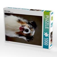 Produktbild: CALVENDO Puzzle Cash, 5 Jahre 1000 Teile Lege-Gr&ouml;&szlig;e 48 x 64 cm Foto-Puzzle Bild von Jana Behr