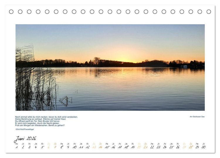 Produktbild: Poesiefl&uuml;gels Abendspaziergang (Tischkalender 2026 DIN A5 quer), CALVENDO Monatskalender