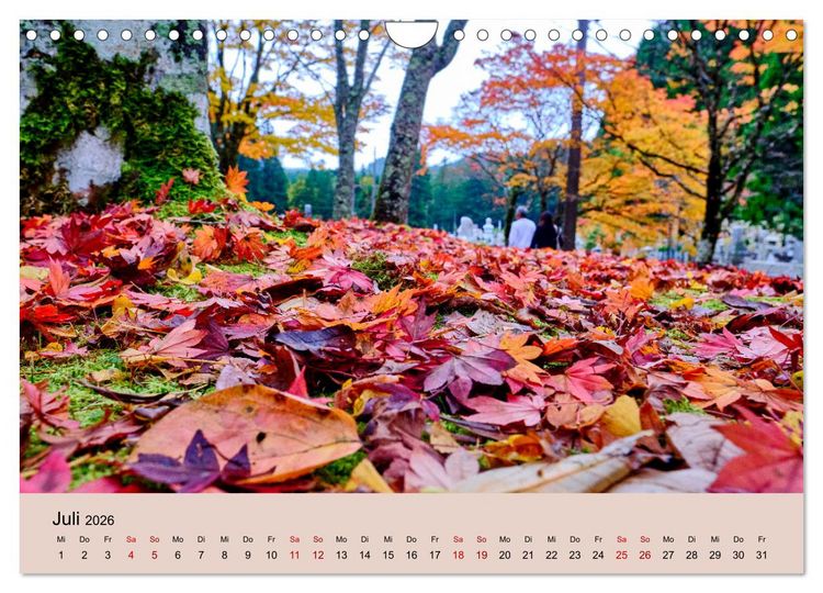 Produktbild: Japan im Herbst (Wandkalender 2026 DIN A4 quer), CALVENDO Monatskalender