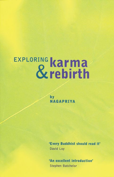 Produktbild: Exploring Karma and Rebirth