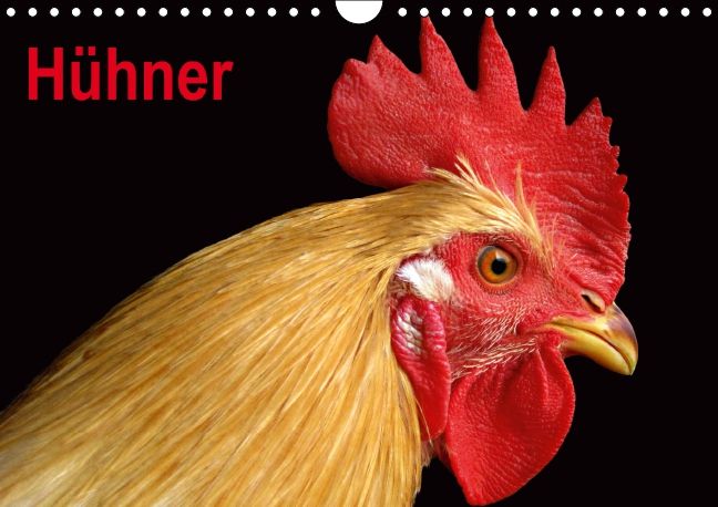 Produktbild: H&uuml;hner / Geburtstagskalender (Wandkalender immerw&auml;hrend DIN A4 quer)