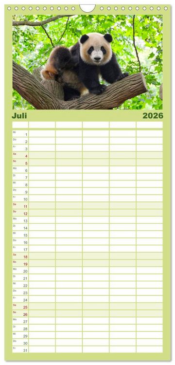 Produktbild: Familienplaner 2026 - B&auml;ren - Pandas, Grizzlyb&auml;ren und Co. mit 5 Spalten (Wandkalender, 21 x 45 cm) CALVENDO