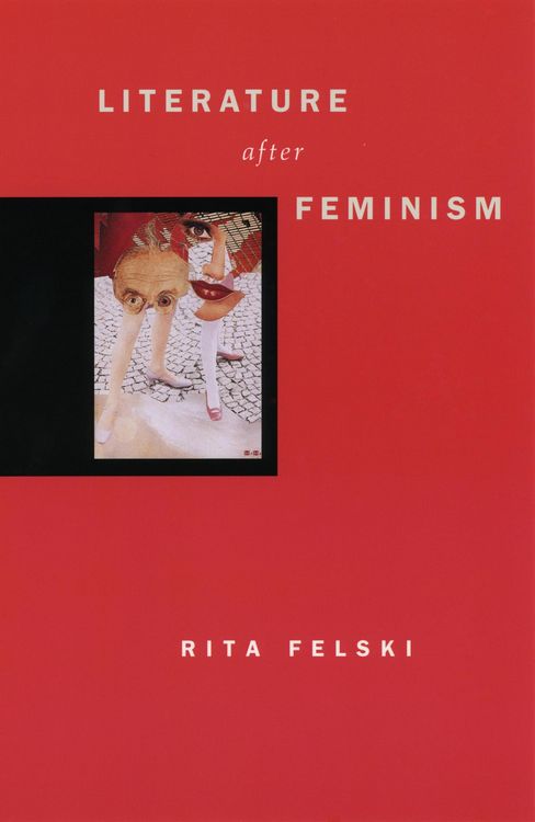 Produktbild: Literature after Feminism