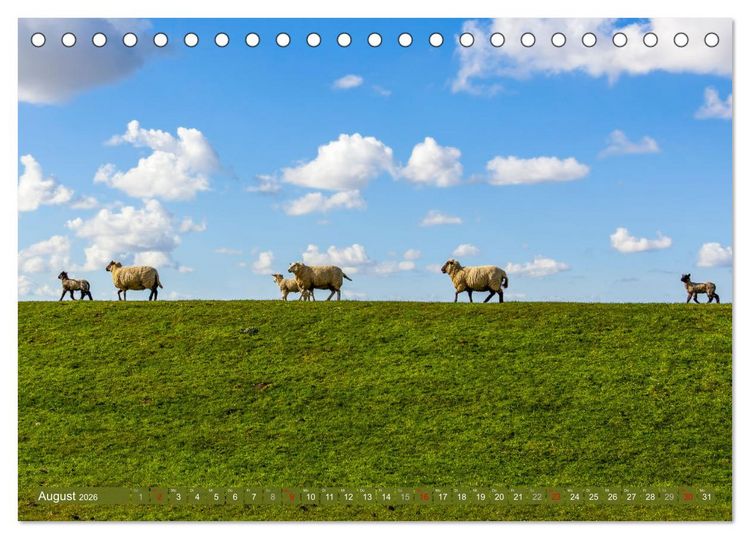 Produktbild: Moin Moormerland (Tischkalender 2026 DIN A5 quer), CALVENDO Monatskalender