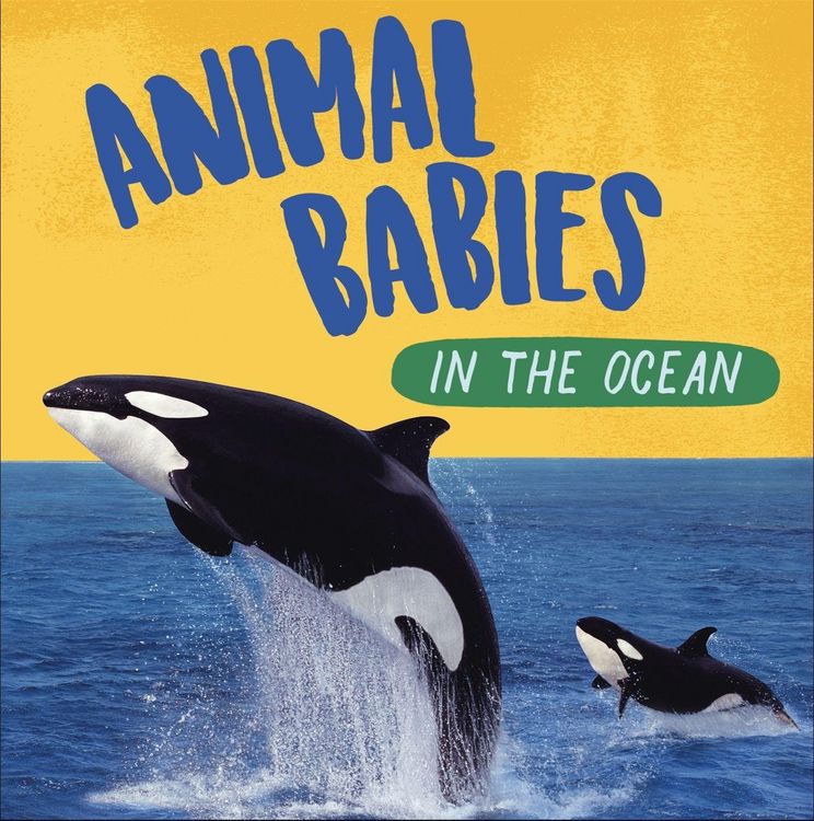 Produktbild: Animal Babies: In the Ocean