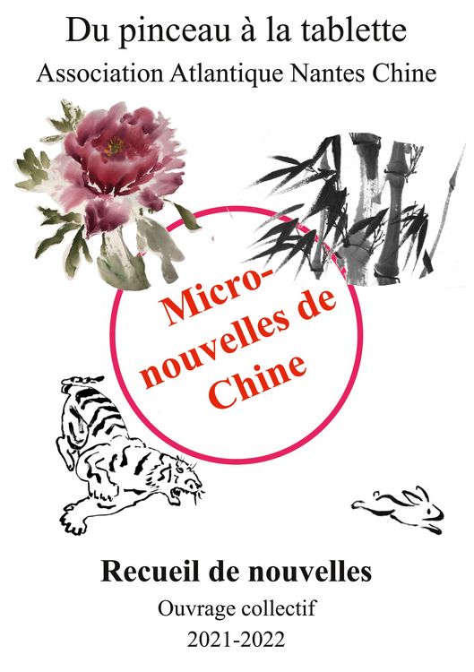 Produktbild: Micronouvelles de Chine