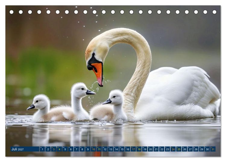 Produktbild: Tierkinder der L&uuml;fte - Vogelwelt (Tischkalender 2027 DIN A5 quer), CALVENDO Monatskalender