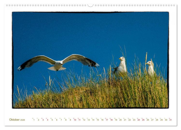 Produktbild: Amrum, inspirierende Landschaft (hochwertiger Premium Wandkalender 2026 DIN A2 quer), Kunstdruck in Hochglanz