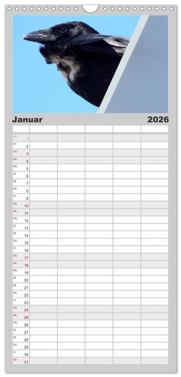 Produktbild: Familienplaner 2026 - Rabenschwarze Impressionen - meike-ajo-dettlaff.de via wildvogelhlfe.org mit 5 Spalten (Wandkalender, 21 x 45 cm) CALVENDO