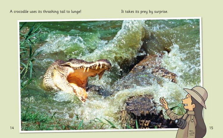 Produktbild: Crocs and Rocks