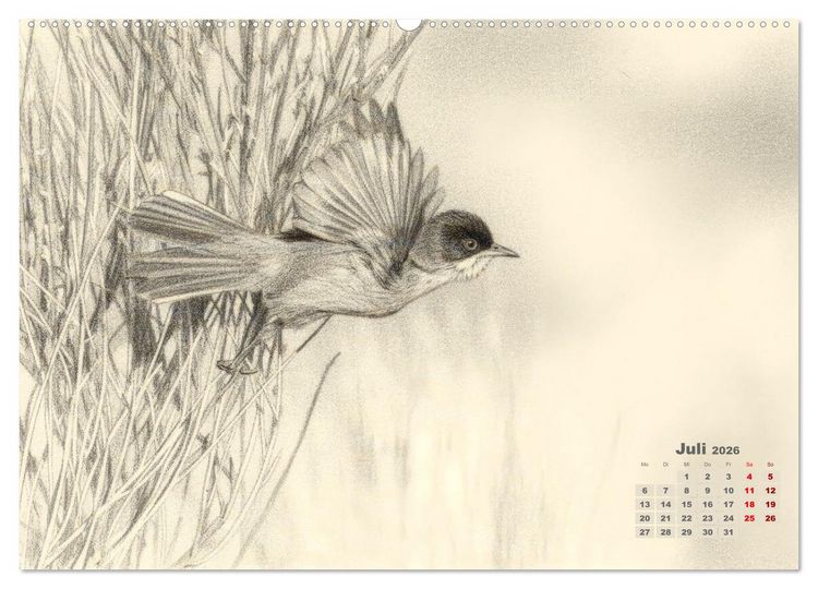 Produktbild: Wilde Seelen - Tierische Momente in Graphit (hochwertiger Premium Wandkalender 2026 DIN A2 quer), Kunstdruck in Hochglanz