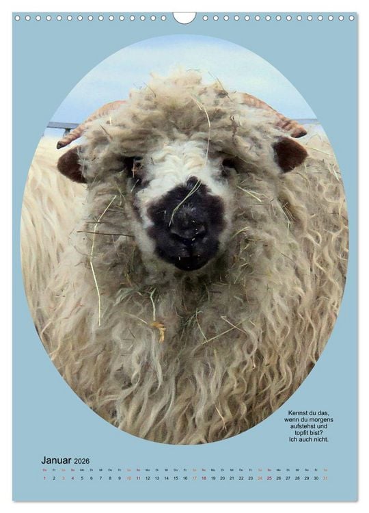 Produktbild: Scharfe Portraits (Wandkalender 2026 DIN A3 hoch), CALVENDO Monatskalender