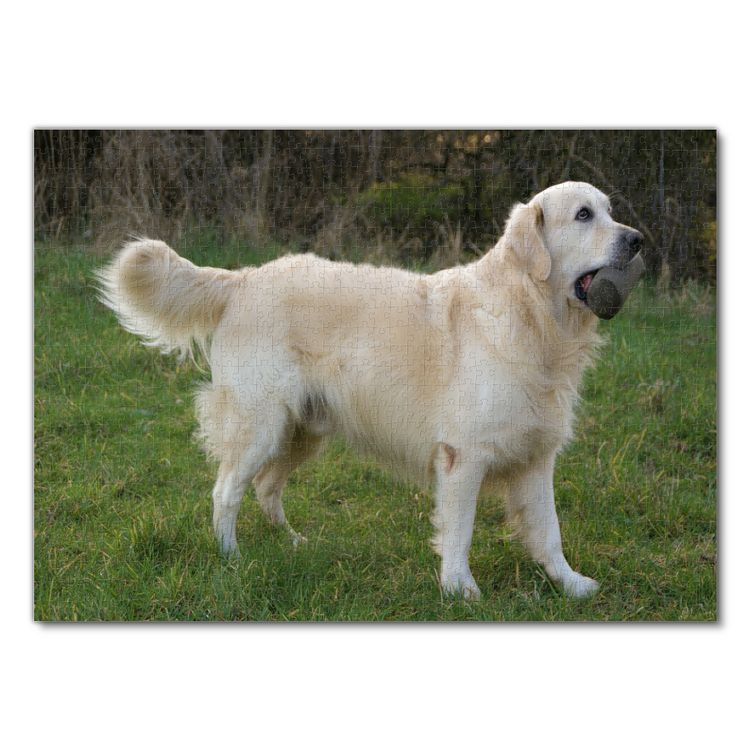 Produktbild: Lais Puzzle Golden Retriever 1000 Teile