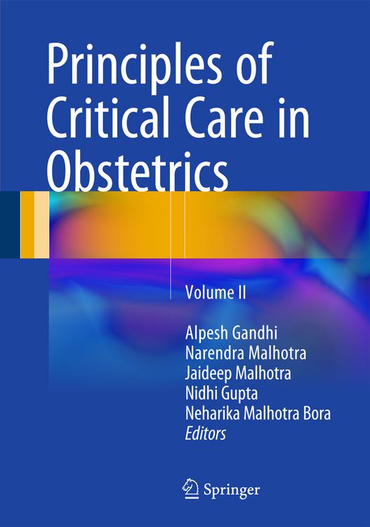 Produktbild: Principles of Critical Care in Obstetrics