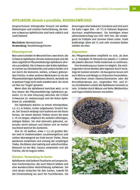 Produktbild: Besondere Obstarten