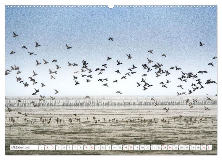 Produktbild: Naturerlebnis R&oslash;m&oslash; (Wandkalender 2027 DIN A2 quer), CALVENDO Monatskalender