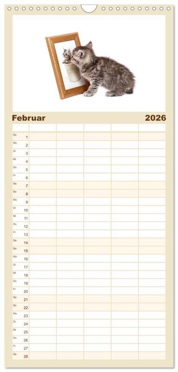 Produktbild: Familienplaner 2026 - Katzenbabys mit 5 Spalten (Wandkalender, 21 x 45 cm) CALVENDO