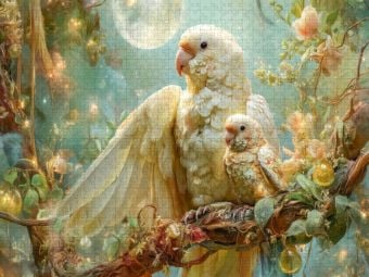 Produktbild: CALVENDO Puzzle Tierparadies | 1000 Teile Lege-Gr&ouml;&szlig;e 64x48cm Foto-Puzzle f&uuml;r gl&uuml;ckliche Stunden