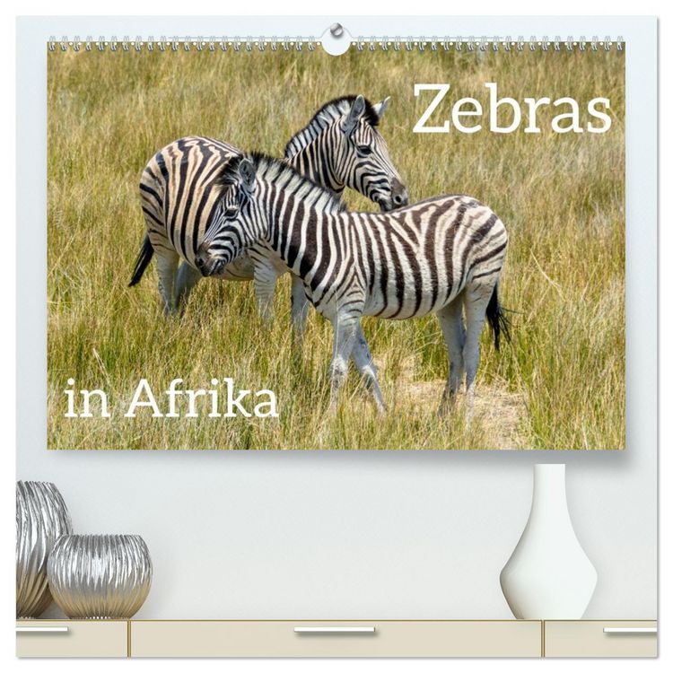 Produktbild: Zebras in Afrika (hochwertiger Premium Wandkalender 2026 DIN A2 quer), Kunstdruck in Hochglanz