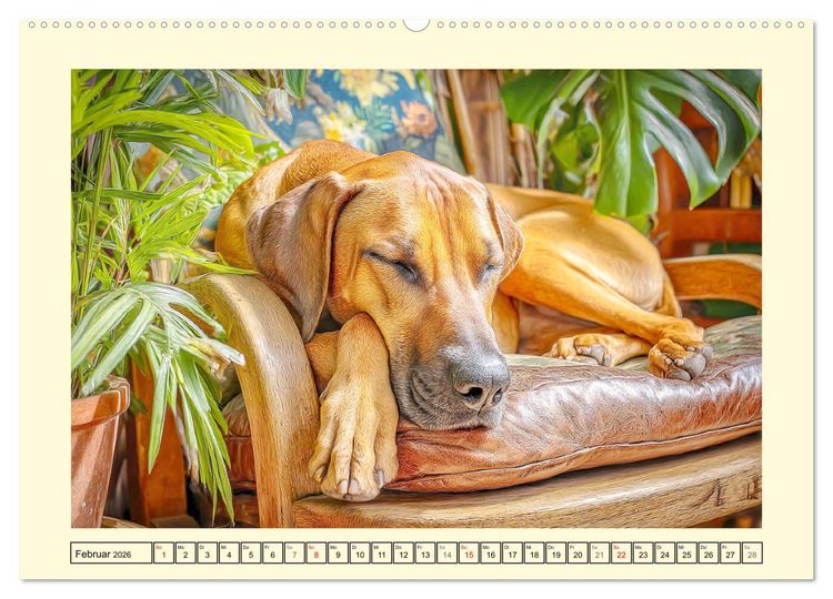 Produktbild: Rhodesian Ridgeback. Kraft und Sanftmut in vollkommener Balance (hochwertiger Premium Wandkalender 2026 DIN A2 quer), Kunstdruck in Hochglanz