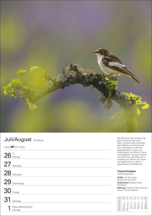 Produktbild: Heimische V&ouml;gel Wochenplaner 2027 - 53 faszinierende Fotografien