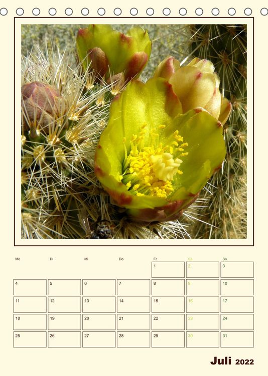 Produktbild: Wilde Kakteen Amerikas (Tischkalender 2022 DIN A5 hoch)